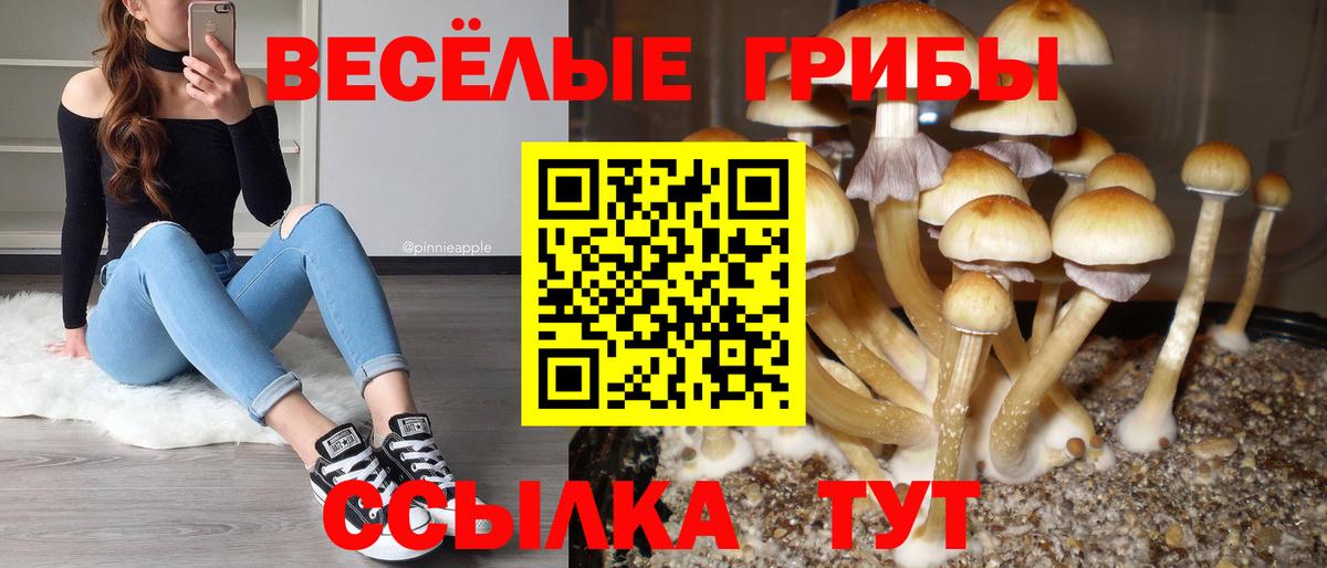 Галлюциногенные грибы прущие грибы Борзя
