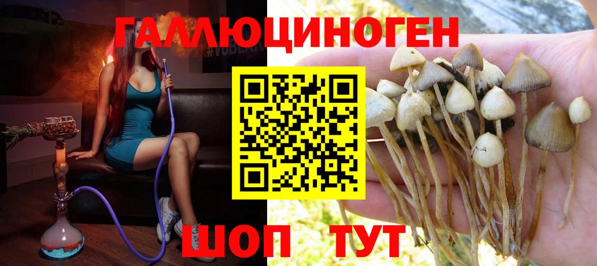 Псилоцибиновые грибы ЛСД  Псилоцибиновые грибы прущие грибы  Борзя  Вход с VPN 